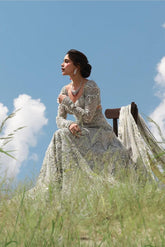 Royal Pakistani Gown