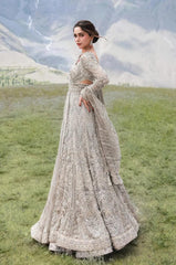 Royal Pakistani Gown