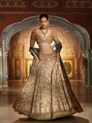 Indian Wedding Dress