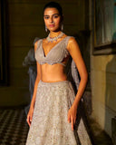 Crystal Lehenga