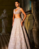 Crystal Lehenga