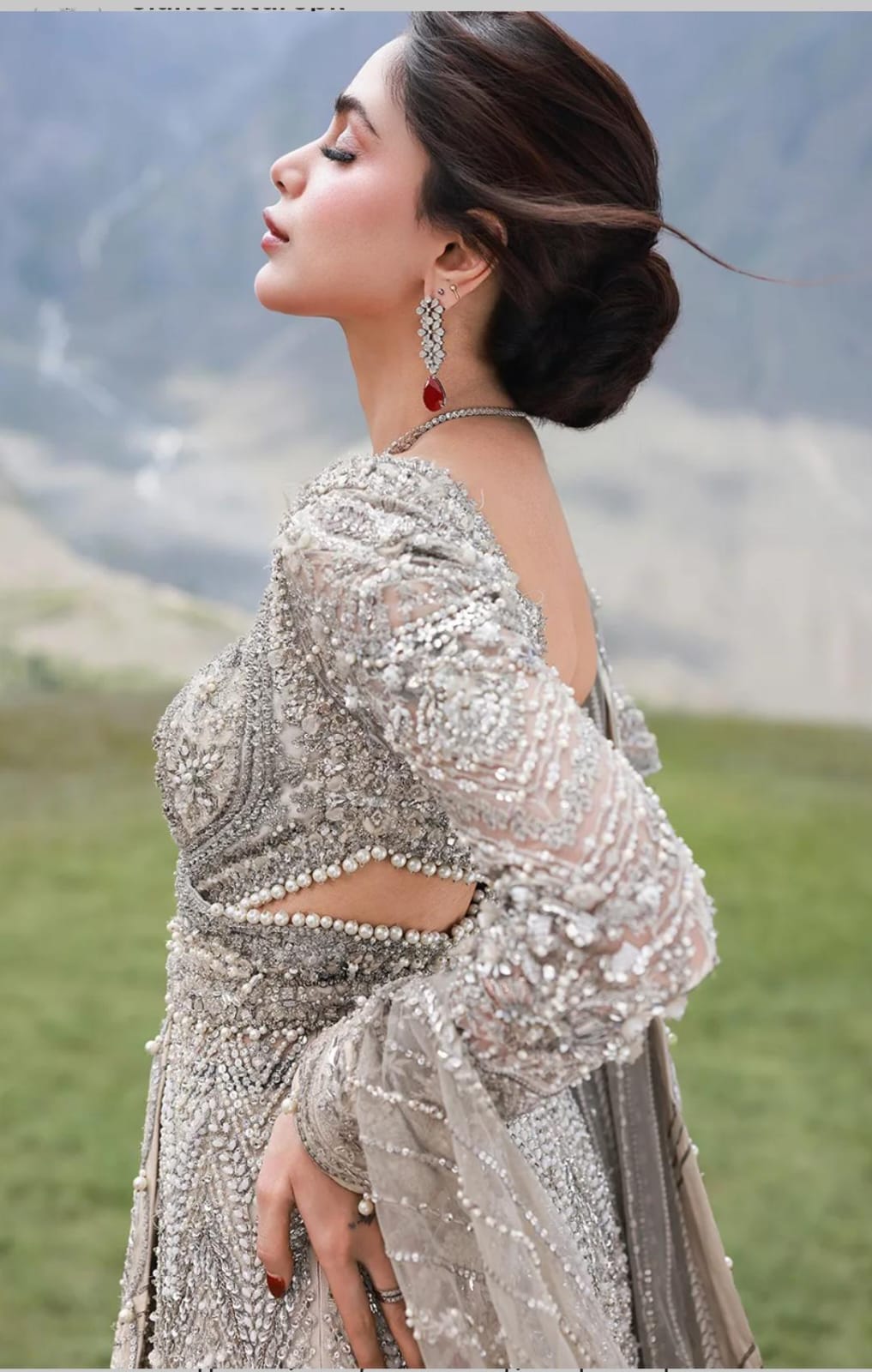 Royal Pakistani Gown