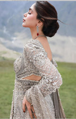 Royal Pakistani Gown