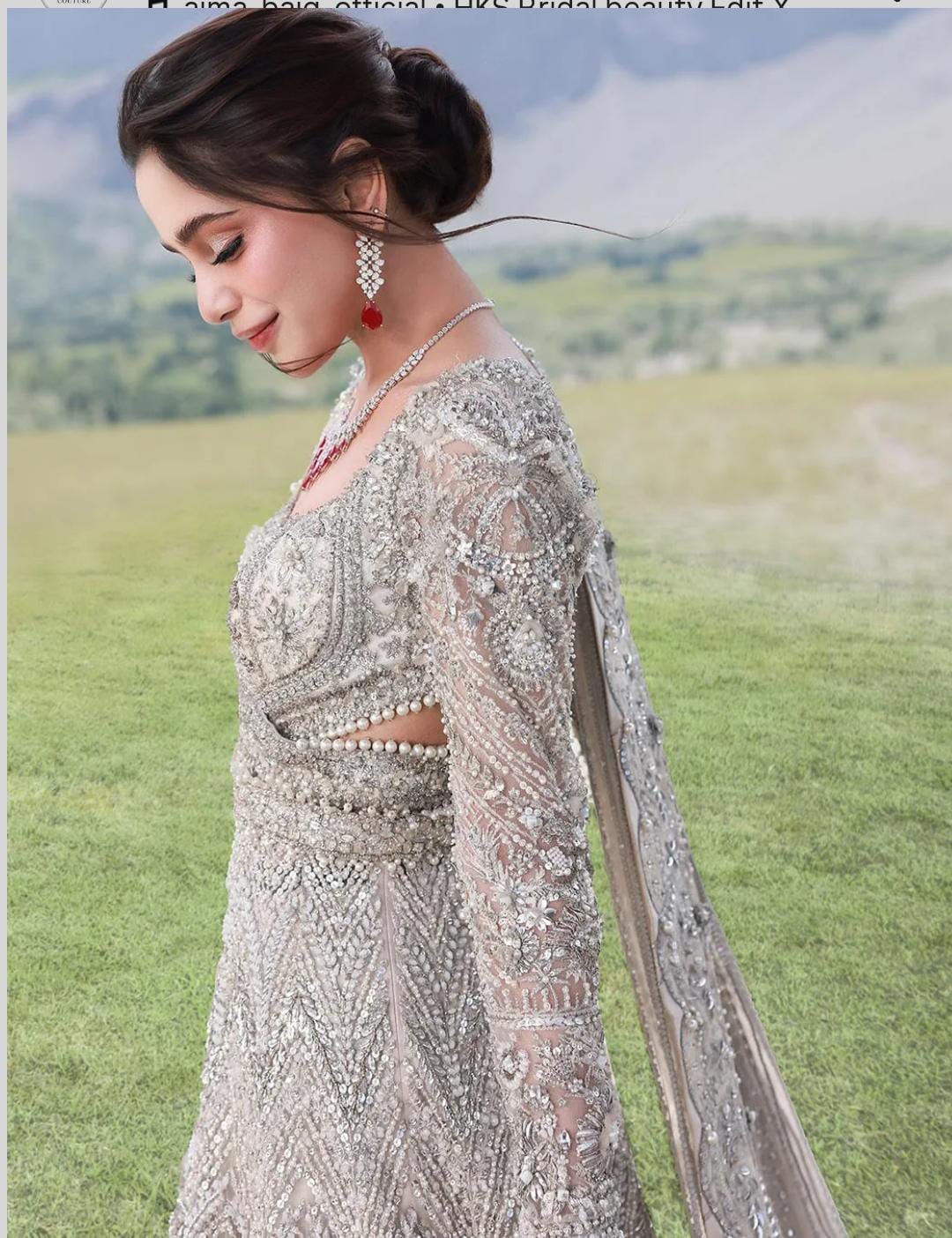 Royal Pakistani Gown