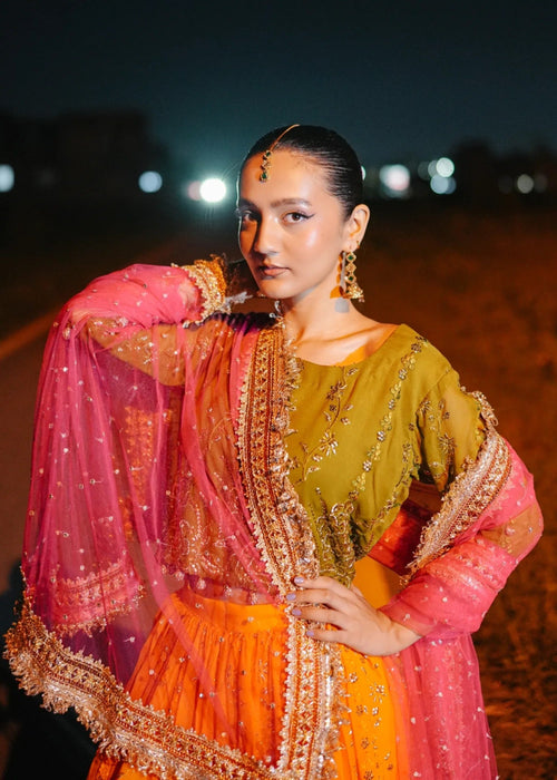 Flared lehenga