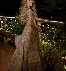 Heavy Luxury South Asian Wedding Lehenga Choli with Intricate Peacock & Butterfly Motifs