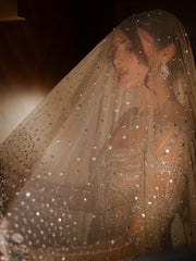 The Celestial Shimmer Gown & Sequin Veil Set – Champagne Gold